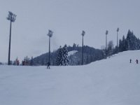 2019-01-23 11.50.58  IICSA   II